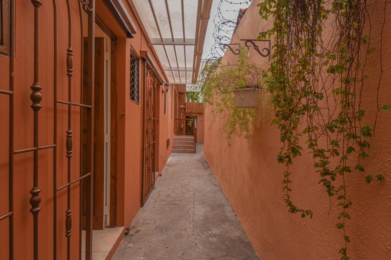 Ph 19 Guesthouse Hotel In Gazcue サントドミンゴ エクステリア 写真